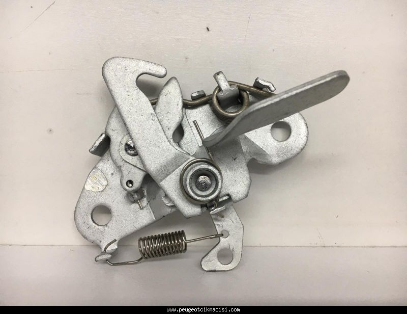 PEUGEOT 206 KAPUT MANDALI